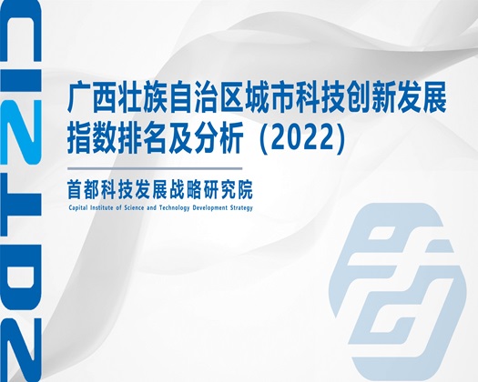 男女操逼看操逼【成果发布】广西壮族自治区城市科技创新发展指数排名及分析（2022）